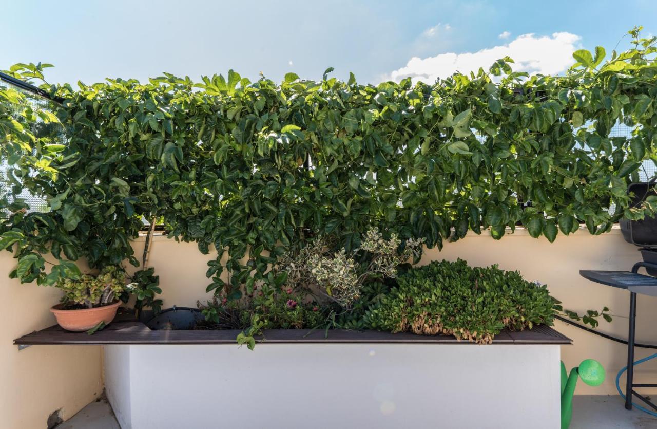 Appartement Casa Colibri - Solemar Sicilia à Santa Flavia Extérieur photo